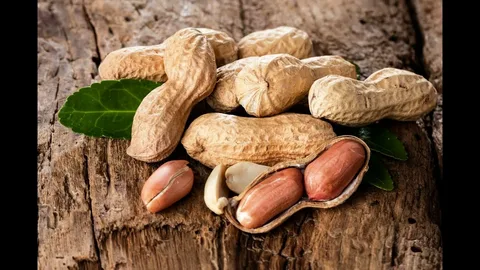 تصویر 3 از قیمت خرید بادام زمینی پوست کاغذی + فروش ویژه